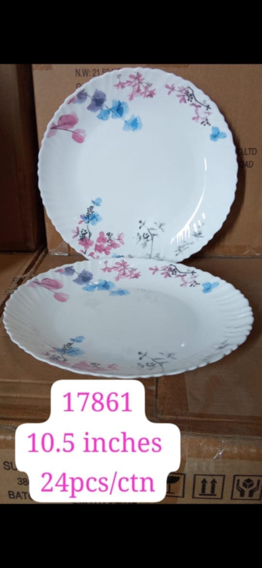 10.5 INCH GLASS PLATE 17861